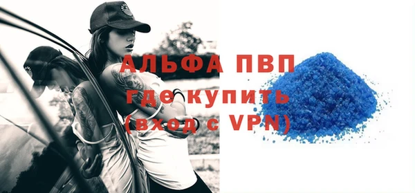 прущий лед Дмитриев