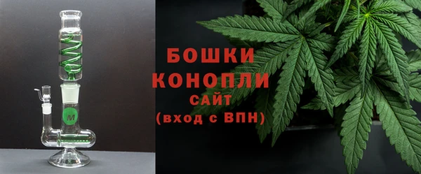 прущий лед Дмитриев