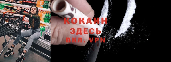прущий лед Дмитриев