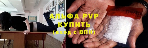 прущий лед Дмитриев