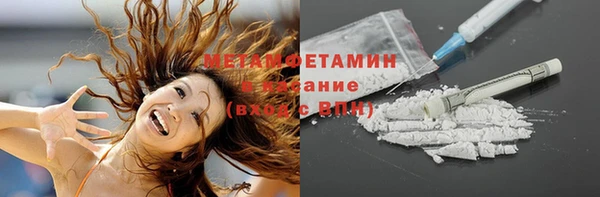 прущий лед Дмитриев