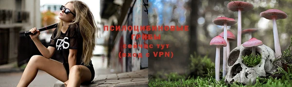 мдпв Дмитров