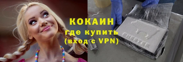 прущий лед Дмитриев