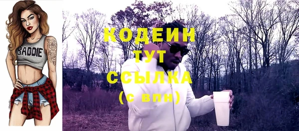 прущий лед Дмитриев