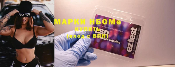 прущий лед Дмитриев