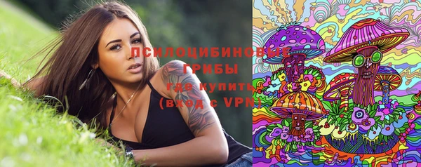 гидра Дмитровск