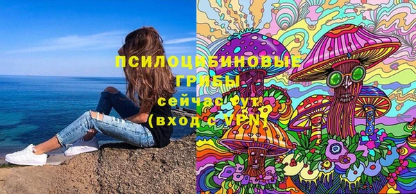гидра Дмитровск