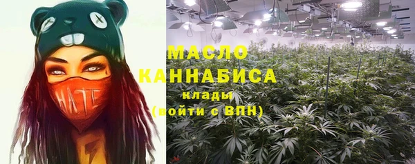 мдпв Дмитров