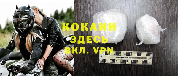 прущий лед Дмитриев