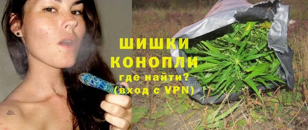 мдпв Дмитров