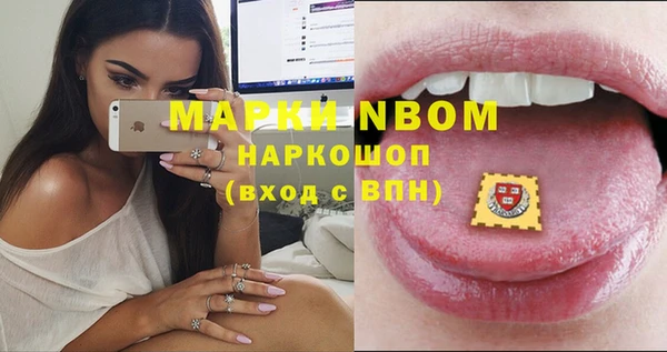 мдпв Дмитров